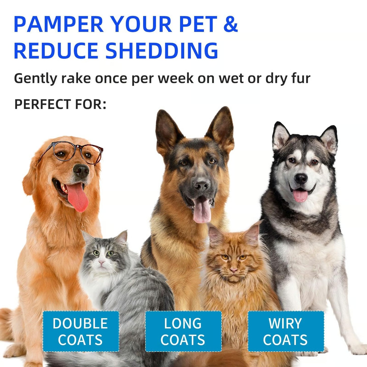 ✨1つ買うと1つ無料💥ペット用スプレー除毛コーム🐶