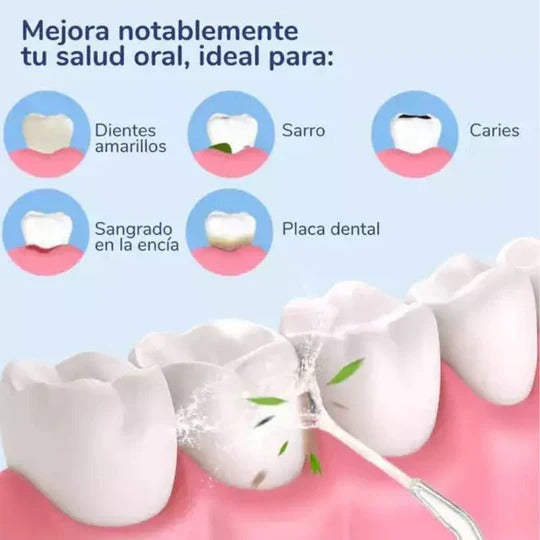 洗浄用洗浄器ブラシ